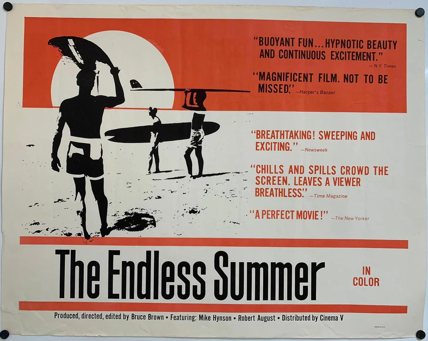 The Endless Summer - Image 4