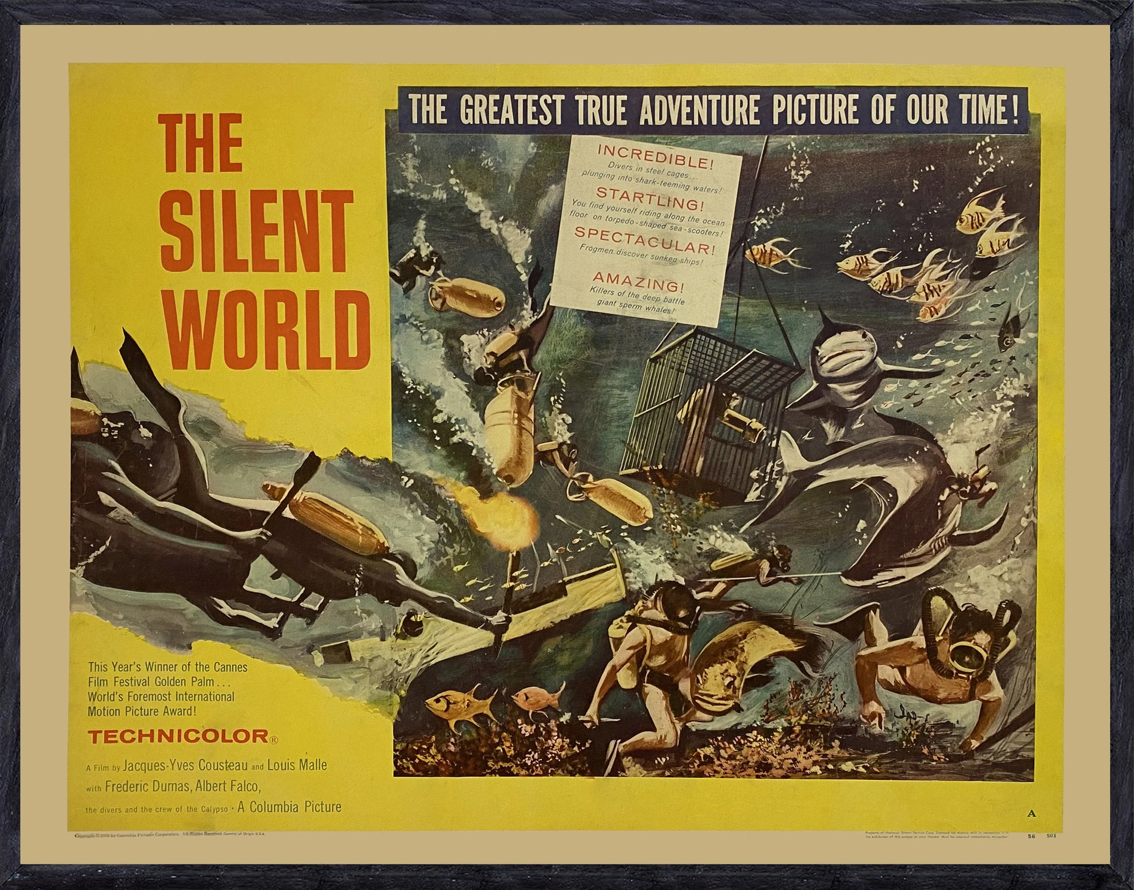 The Silent World - Image 2
