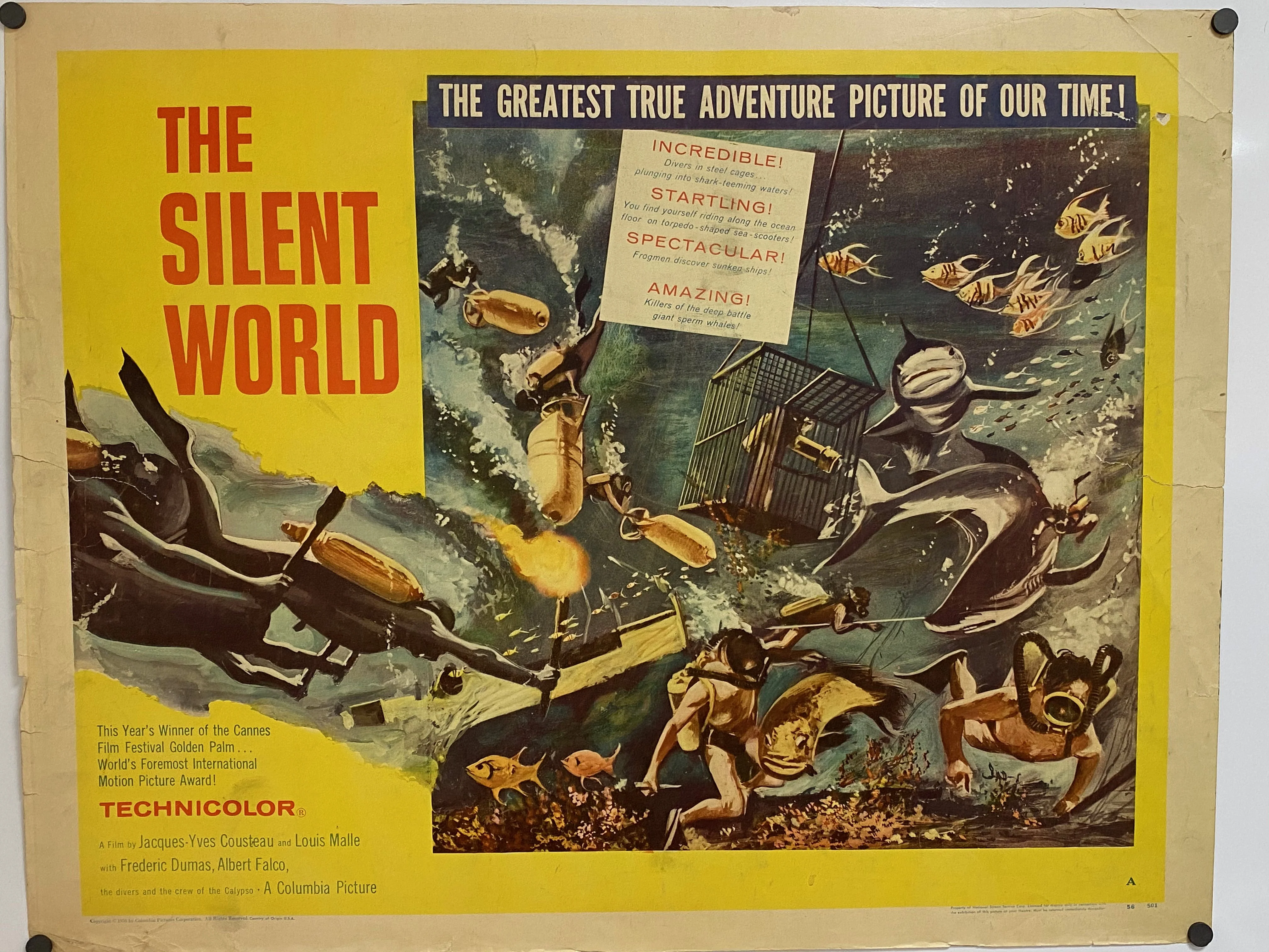 The Silent World - Image 3