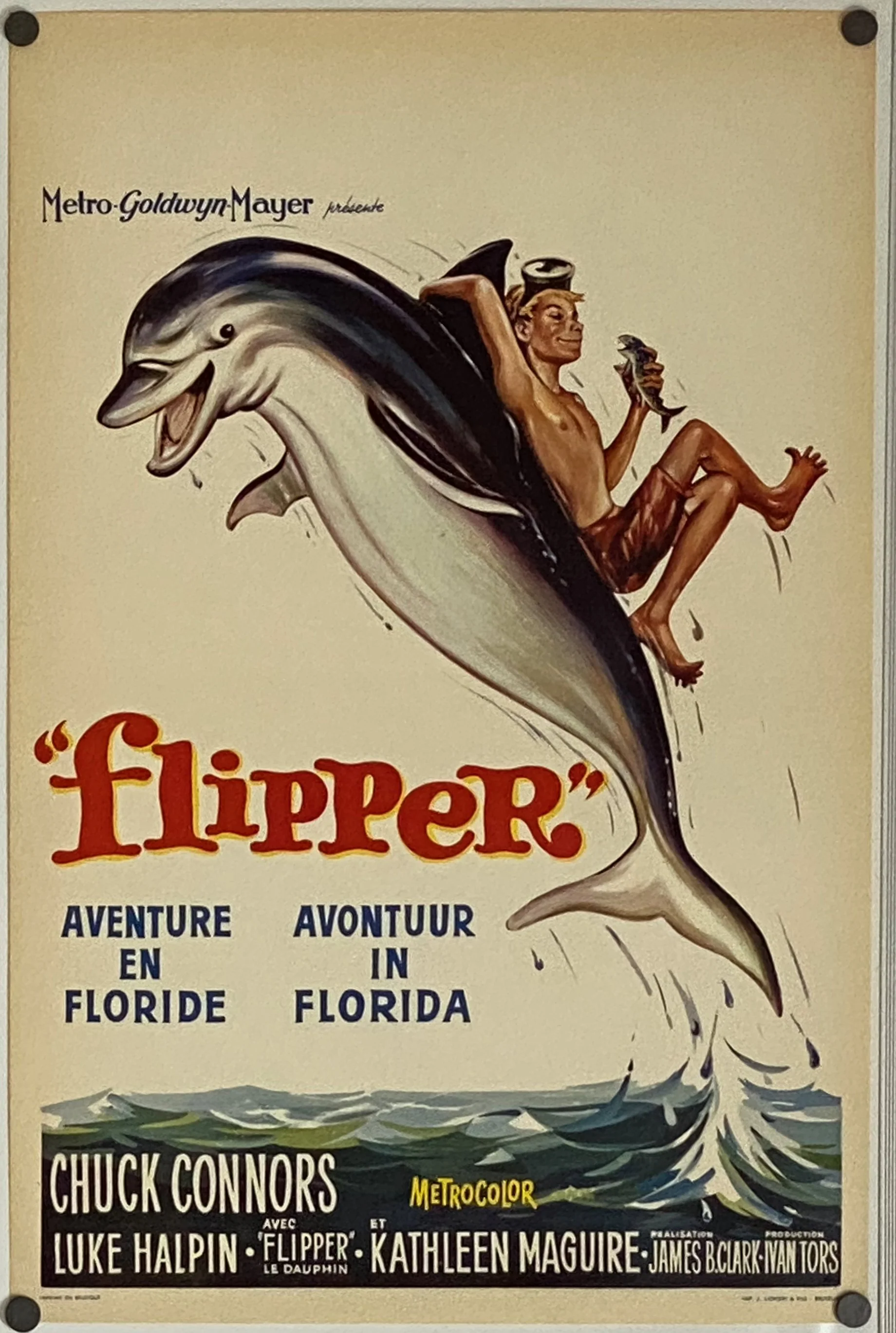 Flipper