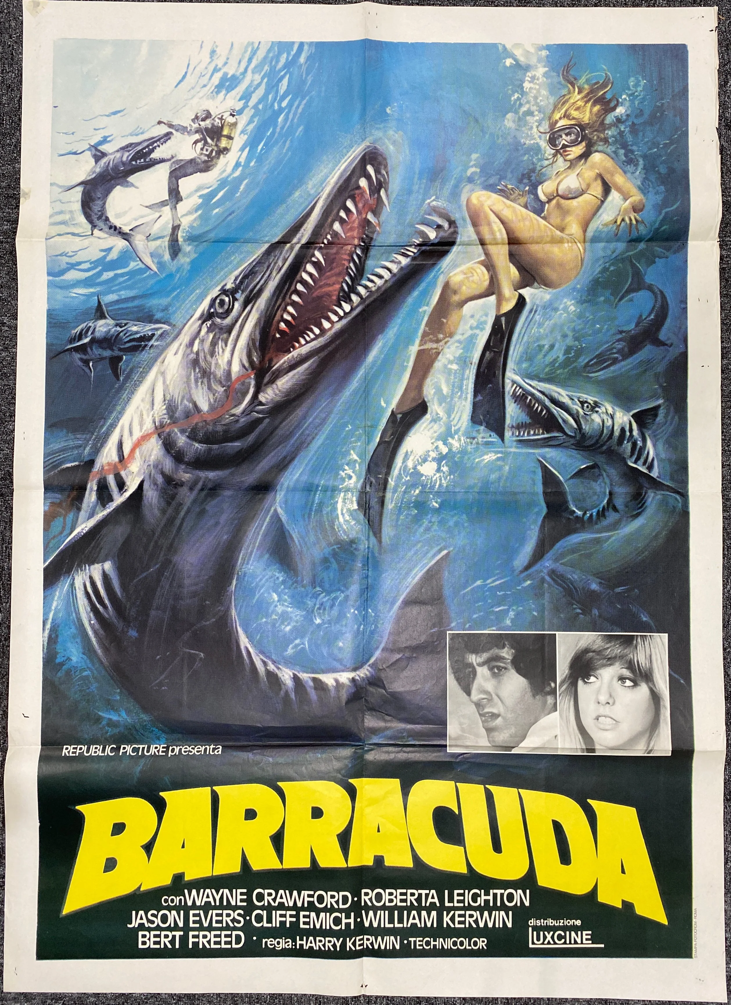 Barracuda
