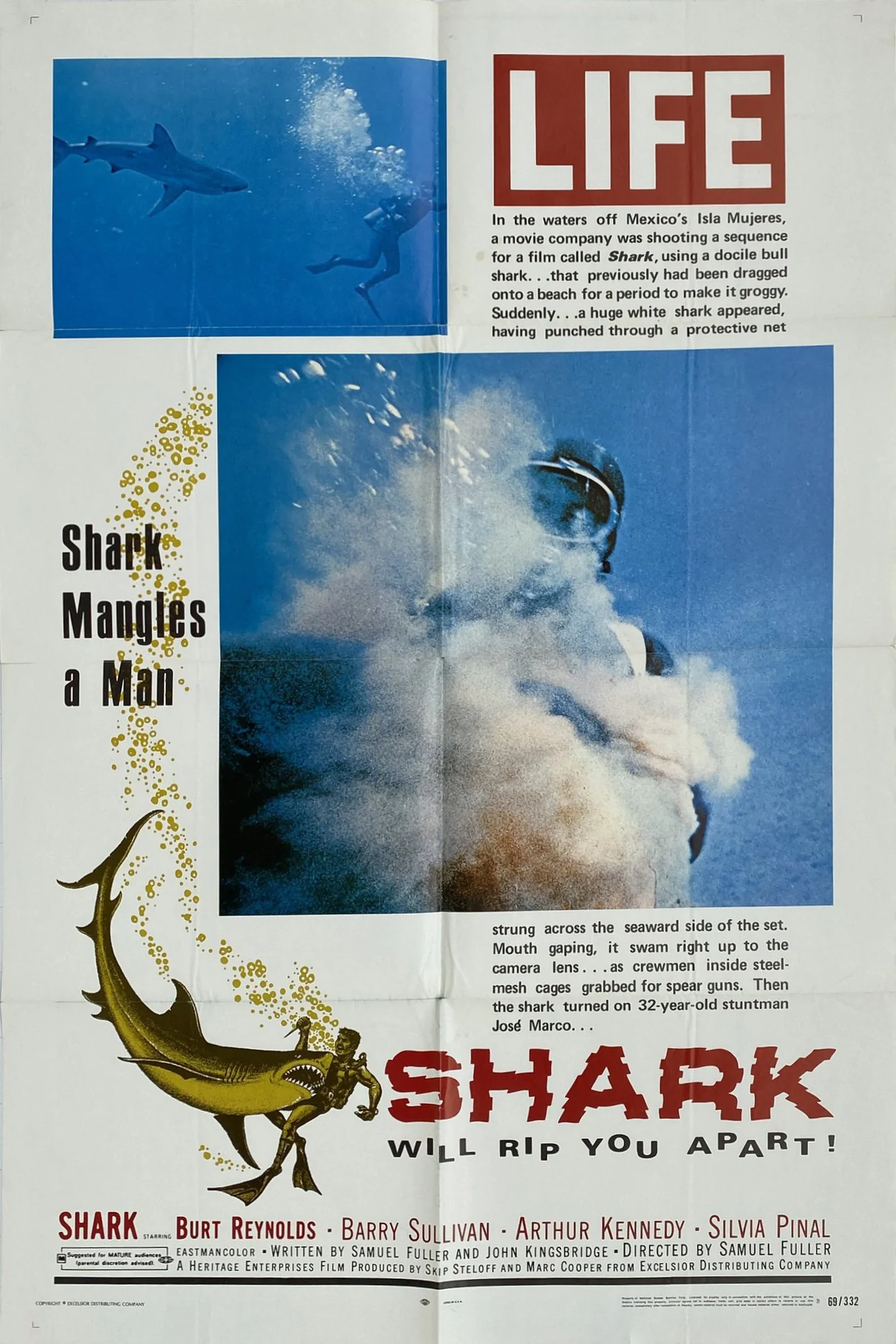 Shark